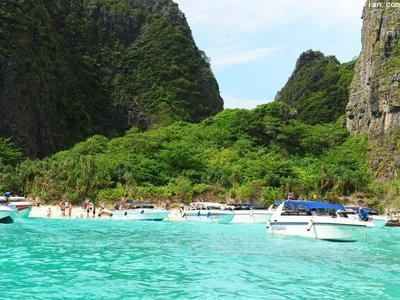 您真的要团聚吗