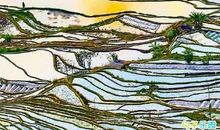 描写立春有关的古诗 描写立春节气的古诗