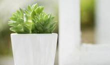 亲情失落的句子说说心情短语