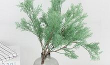 关于亲情的真情句子