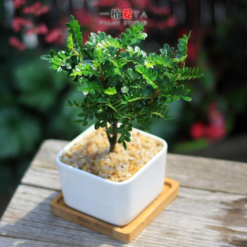 编辑编辑了一些有关家庭之爱的真实情感句子