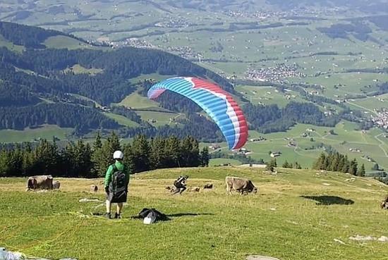 无数次艰苦的尝试并不一定会产生成功