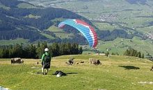 试一试的座右铭