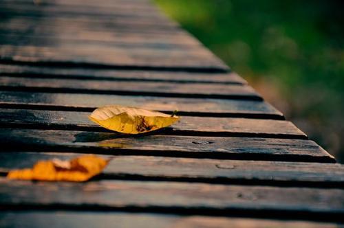 我还可以听一段舒缓的轻音乐