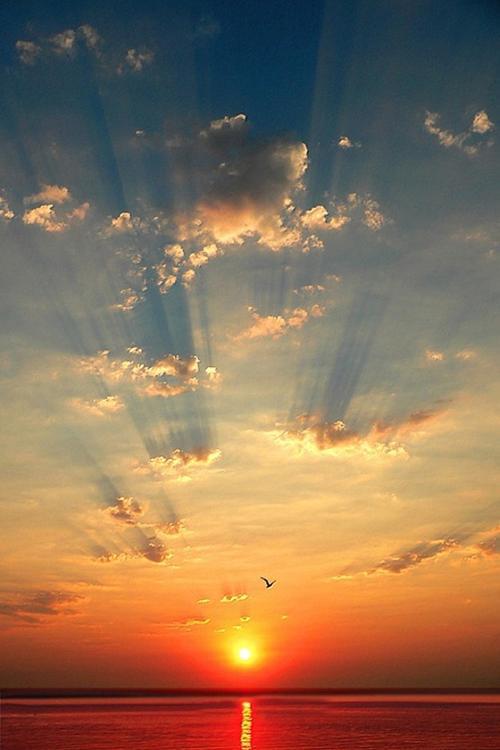 我希望每个人都喜欢他们