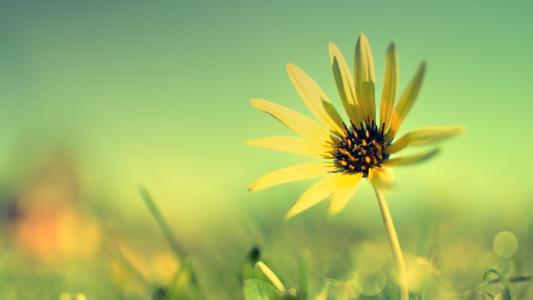 下班后不去上班是一件非常令人兴奋的事情