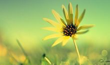 不上班很开心的句子