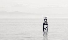 表达孤单的伤感句子没人陪的孤单心情说说