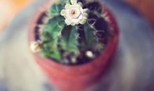 经典名句大全：珍惜所有的相遇，也尊重所有的失去