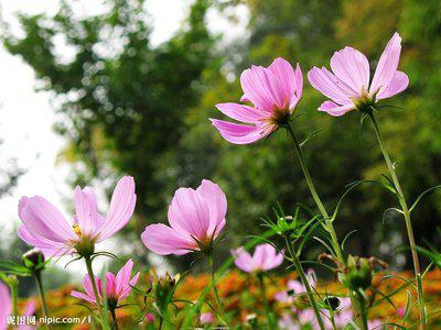 传播知识就是播下希望