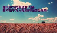 关于努力的励志名言