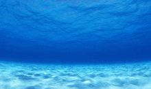 形容大海的诗句