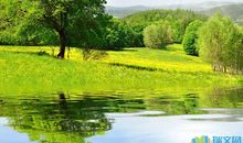 描写春天的句子50句