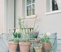 编辑已经整理了一些有关幸福表达的有趣句子