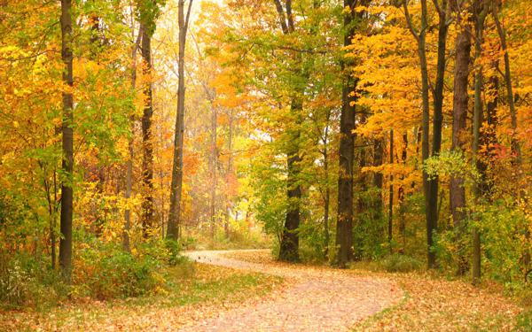 就像我所生活的银河系中的一颗璀璨的星星