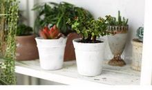 激动兴奋的开心句子