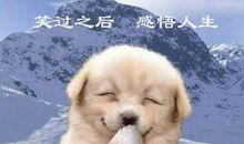 与幽默有关的名言