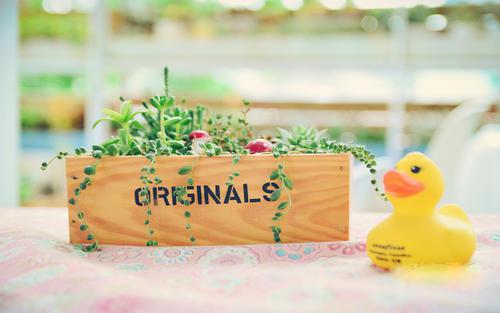 编辑编辑了一些有关幸福和快乐的动作句子