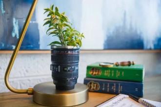 保持幸福实际上很简单