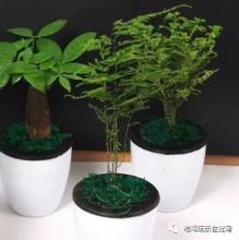 表达快乐文学的句子是什么