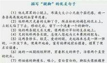 描写男孩五官的句子