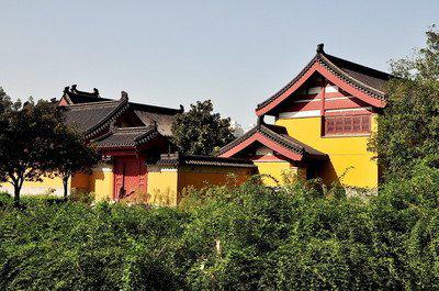 狮子和银羊被祝福唱歌