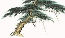 描写松树的古诗