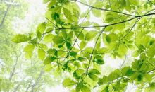 描写天气的句子集绵