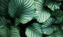 给女朋友开心的句子