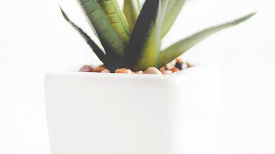 如何使女人快乐