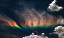 每天快乐开心的句子