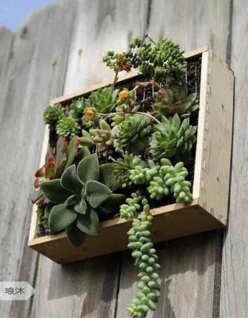 请欣赏由编辑编辑的有关祝福女人幸福的句子