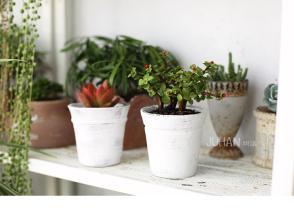 亲人的爱是深情的