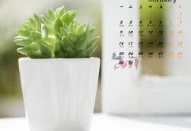 请欣赏由编辑整理的关于感情的句子