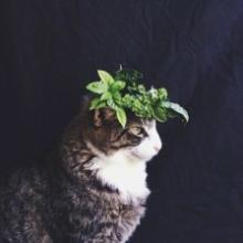 编辑汇编了一些有关家庭重要性的句子