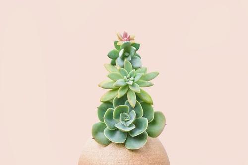 并谈论情绪短语