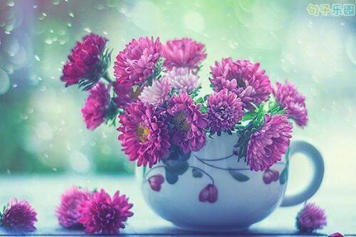 一千年落下了一千年