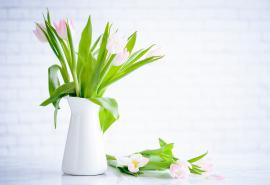 希望每个人都喜欢