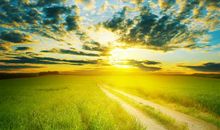 暖心又励志的晚安心语 晚安正能量暖心一句话