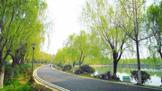 公园里各种美丽的景色非常开心