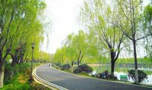 公园里开心的句子