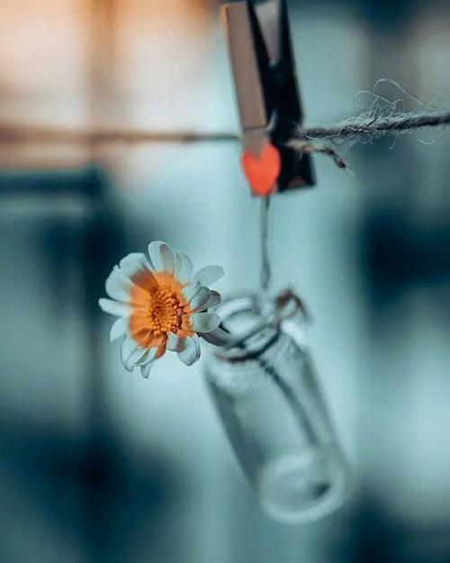 得不到太多支持的领导者常常令人失望