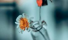 对一个领导失望的句子