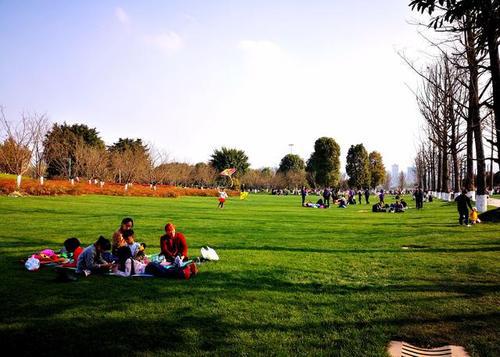 请享受由编辑组织的公园里的快乐句子