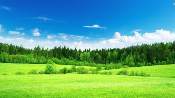 弥漫的雾笼罩着幸福