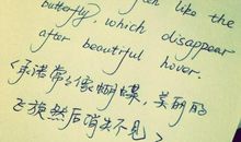 用英语表白的句子