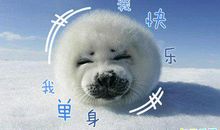 单身过520的说说 情人节单身狗的朋友圈配文