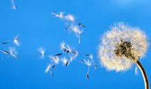 放下烦恼的感悟句子