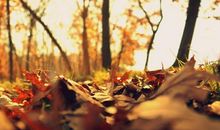 关于岁月的文艺句子大全