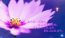 不要给自己那么大的压力说说